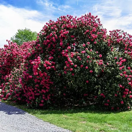 Domaine De Ronchinne - Maison Du Jardinier 3* Maillen