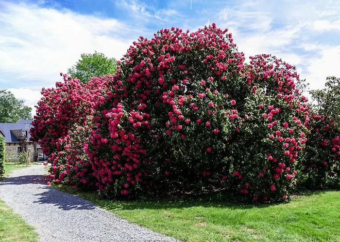 Domaine De Ronchinne - Maison Du Jardinier 3* Maillen